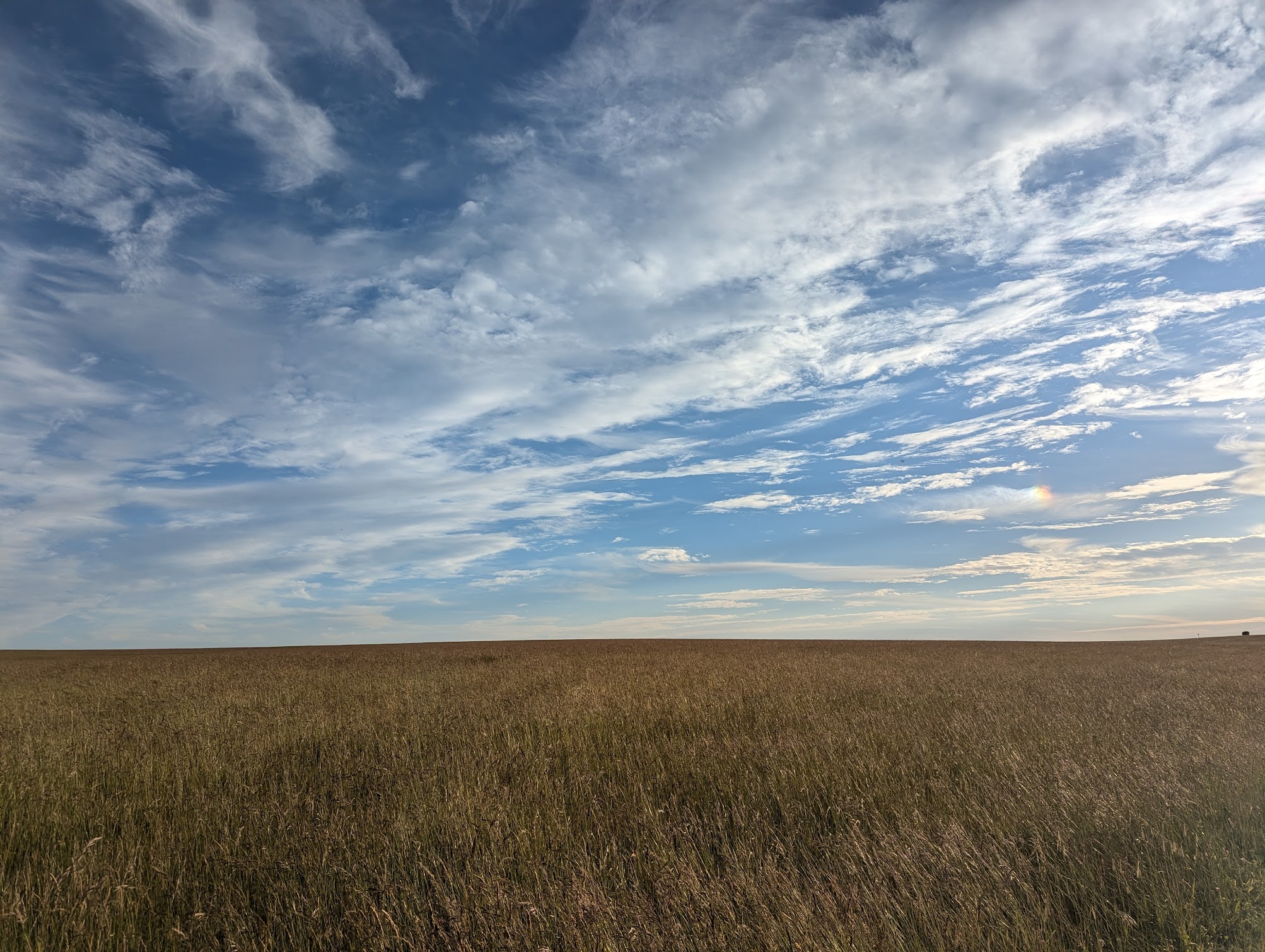 The golden grasses and partly cloudy blue skies of the Avebury countryside just outside the Stonehenge complex.